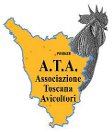 ATA